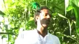 Taajuu - Marta Maaraara