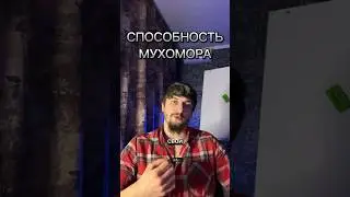 КАК РАБОТАЕТ МУХОМОР