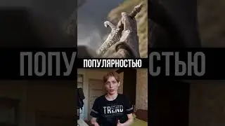 Для ремастера Oblivion вышло более 80 модов 