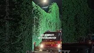 Efeu-Haus 🌿 beschäftigt Feuerwehr 🚒 #feuerwehr #dortmund #efeu