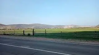 Еланцы