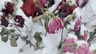 Поболтаем )) 17.00 По МСК