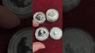 😍Irresistible Silver Lunars 