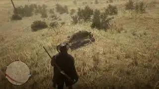 RDR2 Online