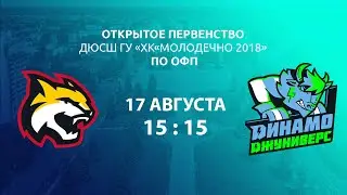 Гомель - Динамо-Джуниверс | Открытое первенство ХК Молодечно по ОФП | 17.05.2024 | 2012