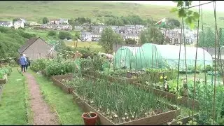 Community Foodie- growing food on derelict land