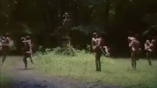 Unidentified music from Claude Pierson's film, 'Le Délire Des Sens'