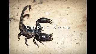 Страх боли / Nikosho