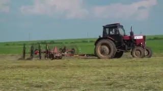 БЕЛАРУС МТЗ 82 с граблями ГКП 600  KOLIBRI V.