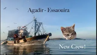 Cruising Morocco! We HIT A NET and ADOPTED A KITTEN.