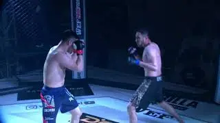WEF101 PROFFIGHT42 Ашимов Айдарбек KG vs Актамова Умиджона UZB