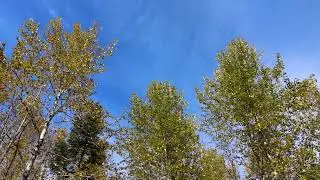 Peaceful Lot for Sale