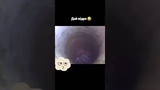 Дай ведро #funnyvideos #2023