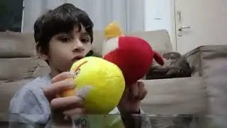GUGUINHA 8 ANOS, SUBRATO, 2020