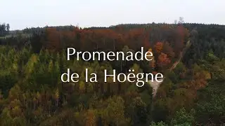Cinematic Hiking - Promenade de la Hoëgne - Belgium