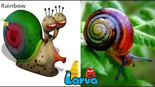 Larva Characters in Real Life | JD Cars Toys