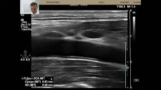 Ultrasound of the whole body!