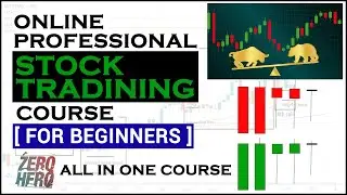 Online Professional Stock Market Trading Course For Beginners | Zero To Hero
