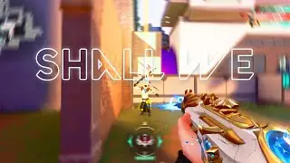 Shall we (Valorant Montage)
