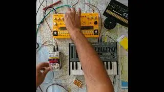 Roland SH01A in action