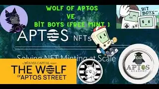 Aptos NFT Projeleri : Wolf of Aptos ve Bit Boys (FREE MINT) YENİ FIRSATI KAÇIRMAYIN !!!