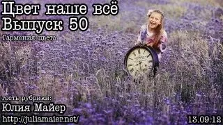 Цвет наше всё... Выпуск 50... Гармония цвета