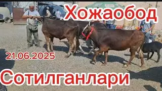 Хожаобод хайвон бозори Сотилганлари Бозор арзонлади Олармон йок 🫡 