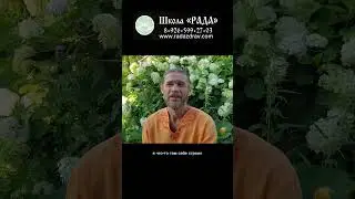 Если любишь родителей - сделай это сейчас 💚 Школа Семьи «РАДА» 🕊️ 
