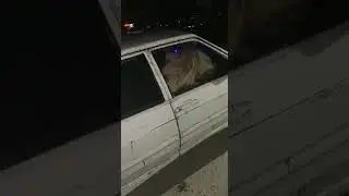 #автозвук хейртрик