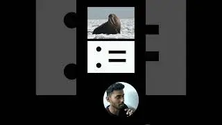 Walrus operator in python | What is Walrus Operator ? | Python Walrus Operator | Python