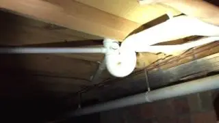 Termite inspection on Gold Coast Queensland with Pest-Ex