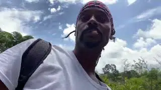 In Jamaica looking for Ackee in  #bobmarley #fypviral #farmland #messi #tvshow #jamaica #food #tvd