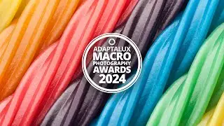 Adaptalux Macro Photography Awards 2024