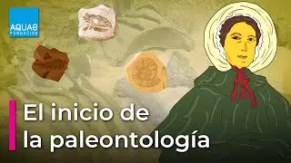MARY ANNING fue la precursora de la PALEONTOLOGÍA