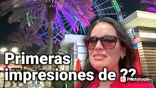 Nuestro primer viaje en familia dentro de los Estados Unidos.