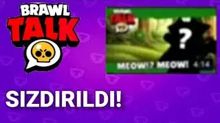 Brawl Talk SIZDIRILDI!!?  KEDİ KİT Ve daha fazlası!!?