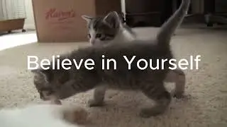 Kittens and Dreams