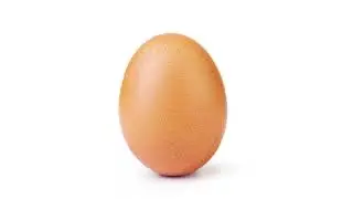 Egg