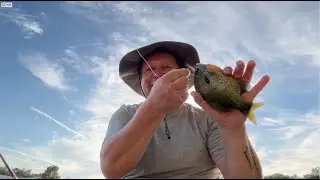 Fishing for Bream with Janky on Lake LBJ