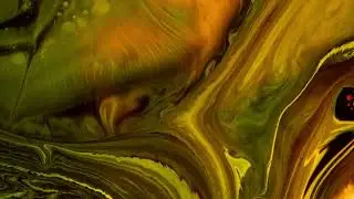Fractal Harmony: A Visual Symphony of Random Fractal Views and Ambient Sounds