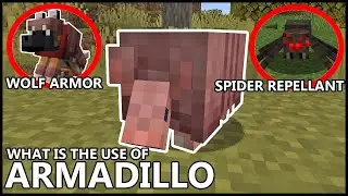 What Is The Use Of ARMADILLOS In MINECRAFT