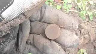 Искатели 47 регион. По местам подписчиков/Search coins & relics with a metal detector