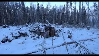 Неуловимые косачи