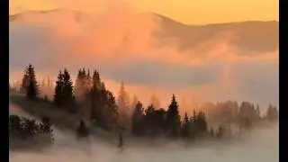 Doctor Rockit : Fog