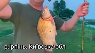 Рибалка під Києвом: Чи працює тісто для Херабуни у вбивці карася?  Несподіваний результат!