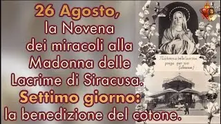 26 Agosto, la Novena dei miracoli alla Madonna delle Lacrime di Siracusa  Settimo giorno