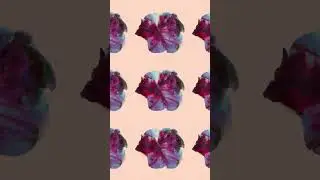 we give you Flowers 🌸 our new record with Panama