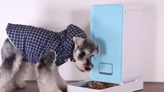 PETKIT FRESH ELEMENT SMART PET FEEDER || gadgets 2018 || review
