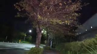 Pauwi na ng aswang guys