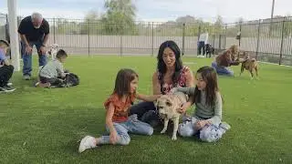 New Arizona Humane Society Campus for Homeless Pets :30